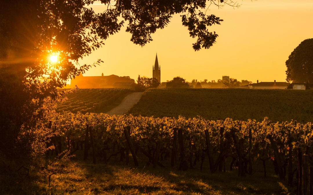 Gastronomie bordelaise 2024: tradition, innovation durable et meilleures adresses incontournables
