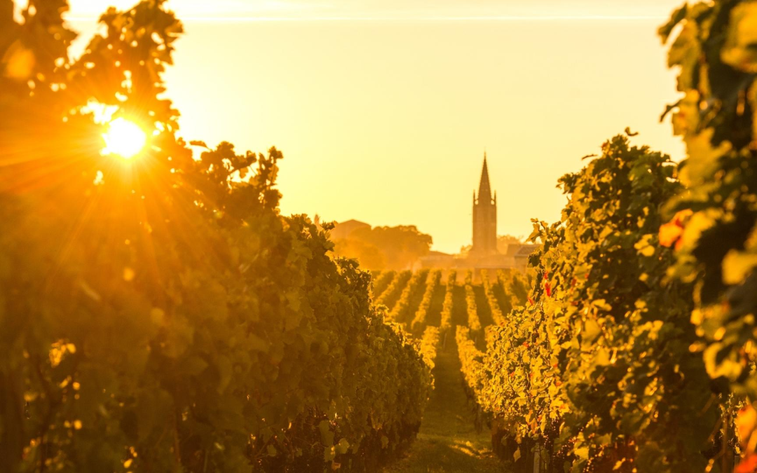 Bordeaux réinvente ses classiques culinaires entre terroir, innovation et étoiles