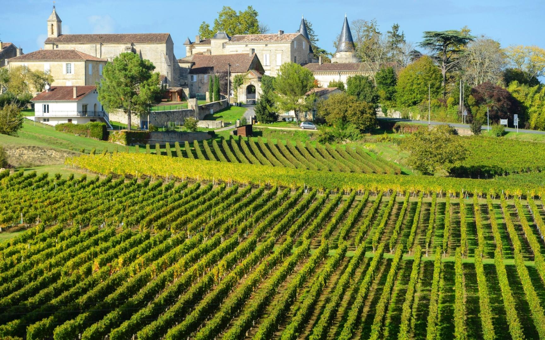 Bordeaux régale : la scène gastronomique explose entre tradition et innovation